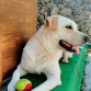 Bimba y su inseparable pelota